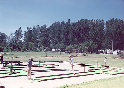 Campers enjoying mini-golf