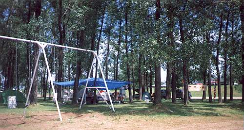 Scout tents in the trees